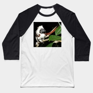 Cotton-top Tamarin Baseball T-Shirt